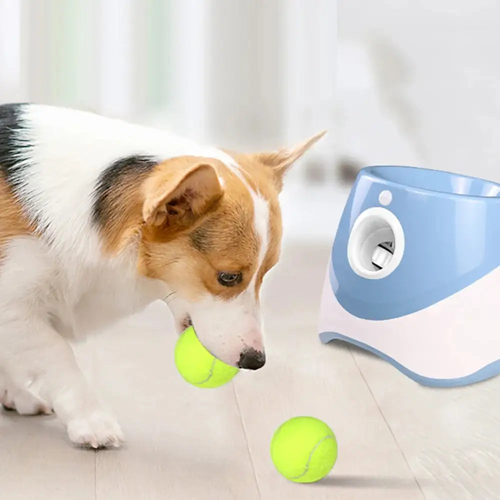 Elite pets - Automatic Tennis Ball Launcher